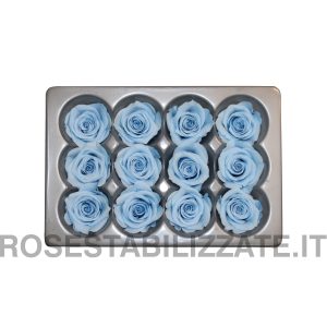 Rose Stabilizzate Mini 12 teste - Azzurro ( Light Blue )