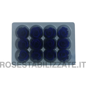 Rose Stabilizzate Mini 12 teste – Blu