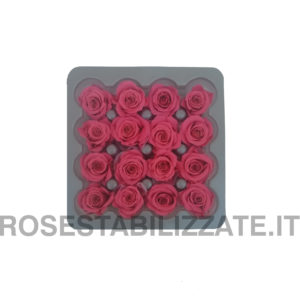 Rose Stabilizzate Princess 16 teste – Fucsia
