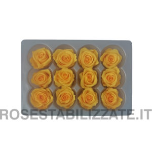 Rose Stabilizzate Mini 12 teste – Giallo Caldo