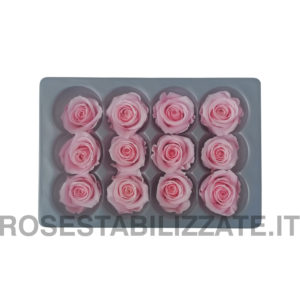 Rose Stabilizzate Mini 12 teste – Rosa Pastel