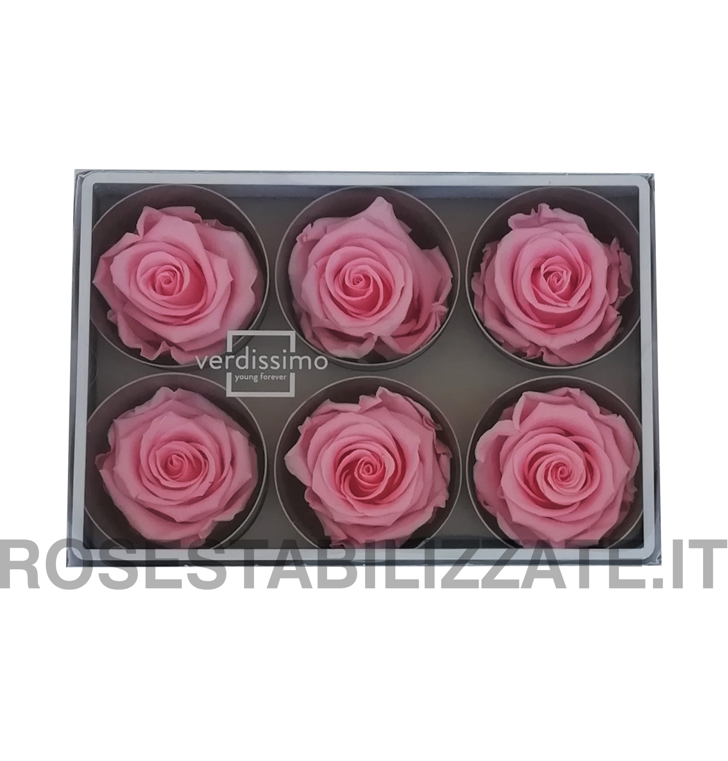 Rose Stabilizzate Standard 6 teste – Rosa Pastello