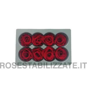 Rose Stabilizzate Medium 8 teste - Rosso