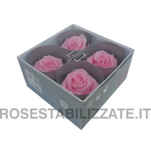 Rose Stabilizzate Premium 4 teste – Rosa Pastello