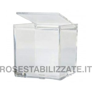 Cubi Plexiglass 10x10x10 ( box 12 pz )